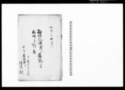 難渋人通掛リ病死ニ付当村江取置 / Document of Rural Area image