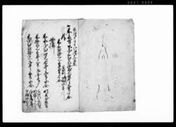 伊奈摂津守様御懸深川佐賀町会所御救米元払勘定仕上帳 / Document of Economy image