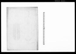 (矢羽根図柄) / Document Related to Blue Print image