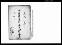 御普請箇所番附并ニ新古遣帳 下小泉村・篠塚村立会(定式御普請所取調帳) / Document of Politics image