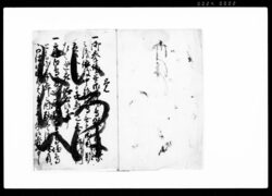 御法度書之覚(御挙場・御留場鳥殺生御制禁につき連印) / Document of Laws image