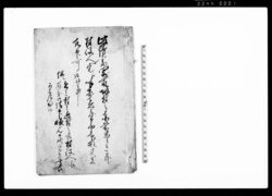 差上申一札之事(無宿長脇差禁令ほか請書) / Document of Laws image