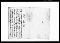 喜太郎一件御裁許写(喜太郎悴兵蔵宅において博奕開催の科処罰につき請書) / Document of Litigation image