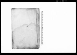 乍恐以書付御訴訟奉申上候(入会地での伐木につき・下書) / Document of Litigation image