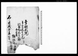 奉歎願記（河内郡山王山村館野 [   ]（欠損）釈放願） / Document of Community image