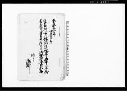 字廿双ト唱候堺街道端井路中ニ年齢三十才計男相果居候ニ付御検使書類扣 / Document of Townspeople image