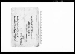乍恐以書付御訴訟奉申上候(奉公人の身分が主人妹と欠落したため取り戻し度につき) / Document of Litigation image