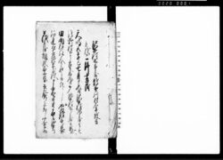 沼井村九郎兵衛佐野川村久平ニ殺害被致候一件書附 / Document of Litigation image