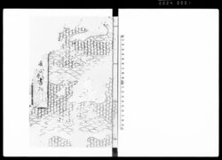 (津軽越中守侍従昇進之心願書扣) / Document of Community image