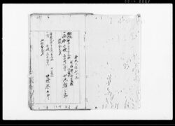 （舟船主調書上及び船御庁検印願） / Document of Laws image