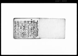 大岡御用留写町奉行所裁断書 / Document of Litigation image