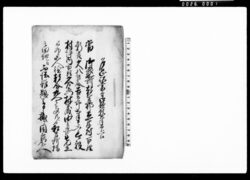 乍恐以書付御歎願奉申上候(立木村百姓新吉他8名村坪内百姓所持の田地へ不法難題困窮を申し掛けられるにつき差し添え願い上げ) / Document of Rural Area image