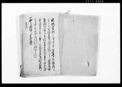 諸御用御触書写 / Document of Laws image