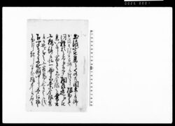 (関東取締出役触) / Document of Laws image