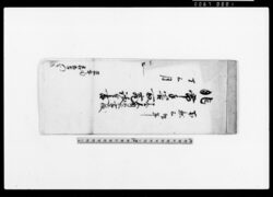 非常手筈取究議定書 / Document of Laws image