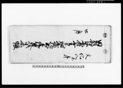 田村郡波篭石村無主荒畑并納地五ケ年御用捨小前帳 / Document of System image