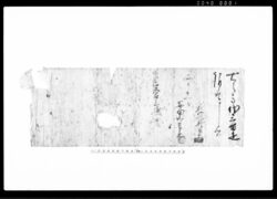 進上(御太刀一腰、御馬一疋) / Document of Samurai Class image