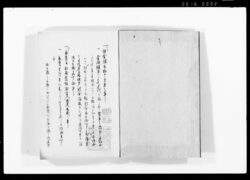 大成三秘録 五 / Document of Laws image