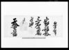 （家禄下賜証文）（拾三石）/Document of Samurai Class image