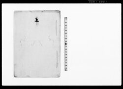 上(私共大切之役義相勤兼候今般役義御免につき願) / Document of Rural Area image