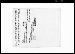 象牙屋出入書類 三(象牙屋甚兵衛同家母貞心相手に訴訟一件) / Document of Litigation image