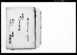 御達書写他 / Document of Laws image