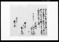 差出し申一札之事 / Document of Rural Area image