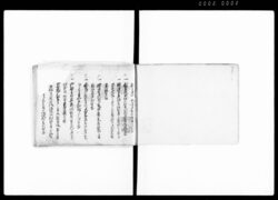 御目付挨拶留 / Document of Laws image
