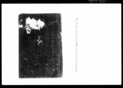 御記録　地（御記録抄　巻之八） / Document of Rural Area image