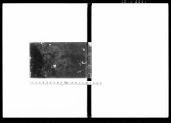 (縁組・養子関係書・他雑録) / Document of Samurai Class image