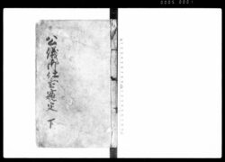 公儀御仕置窺定 下 / Document of Laws image