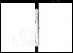[町触] / Document of Laws image