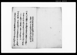 天竺堂真田両村地境字横土手五ヶ村論所一件ニ付乍恐以意味書御歎申上候 / Document of Litigation image