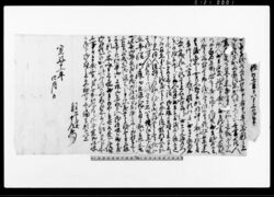 (乍)憚口上書ヲ以申上候御事(御百姓に召出された水呑与四郎の言動の件 御吟味の願につき) / Document of Rural Area image