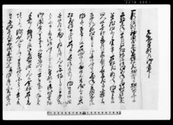 乍恐奉願候御事(新沼村神田屋敷御百姓松蔵病につき) / Document of Community image