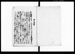 天保六未七月十四日江戸神田橋御門外ニおゐて父兄之仇討一件 / Document of Townspeople image