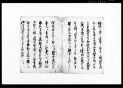 差上申御請一札之事 / Document of Temples and Shrines image