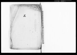 上（儒者皆不知性等につき） / Document of Culture image