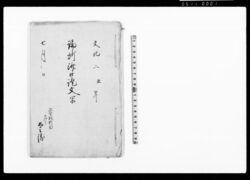 論所済口証文写(下総国印旛郡布鎌新田など24ヶ村村境水囲之儀) / Document of Contract image