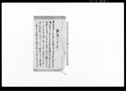 假儀定書之事 / Document of Laws image
