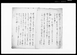 議定書 / Document of Laws image