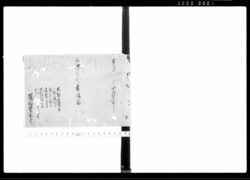 二條在番着後留 / Document of Politics image