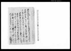 (印旛郡布鎌上曽根新田内にて発生仕り候盗賊・欠落・打擲につき書状) / Document of Rural Area image