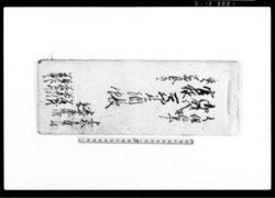 御郡代官様去卯取調帳 / Document of System image