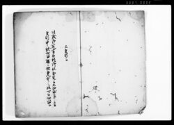 龍湾秘録 全 image