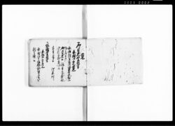 願書控(御目見・縁組・隠居家督等につき) / Document of Samurai Class image