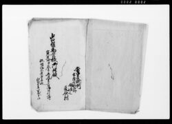 御巡見ニ付旧記御尋役人共御答書 / Document of Rural Area image