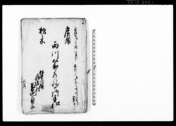 広瀬・桃之木両川筋水論一件手扣 / Document of Litigation image