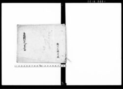 相対死書留(東振村半次郎死娘むめ相対死につき一件) / Document of Laws image