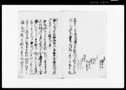 (当村百姓滝之助疵受一件始末) / Document of Rural Area image